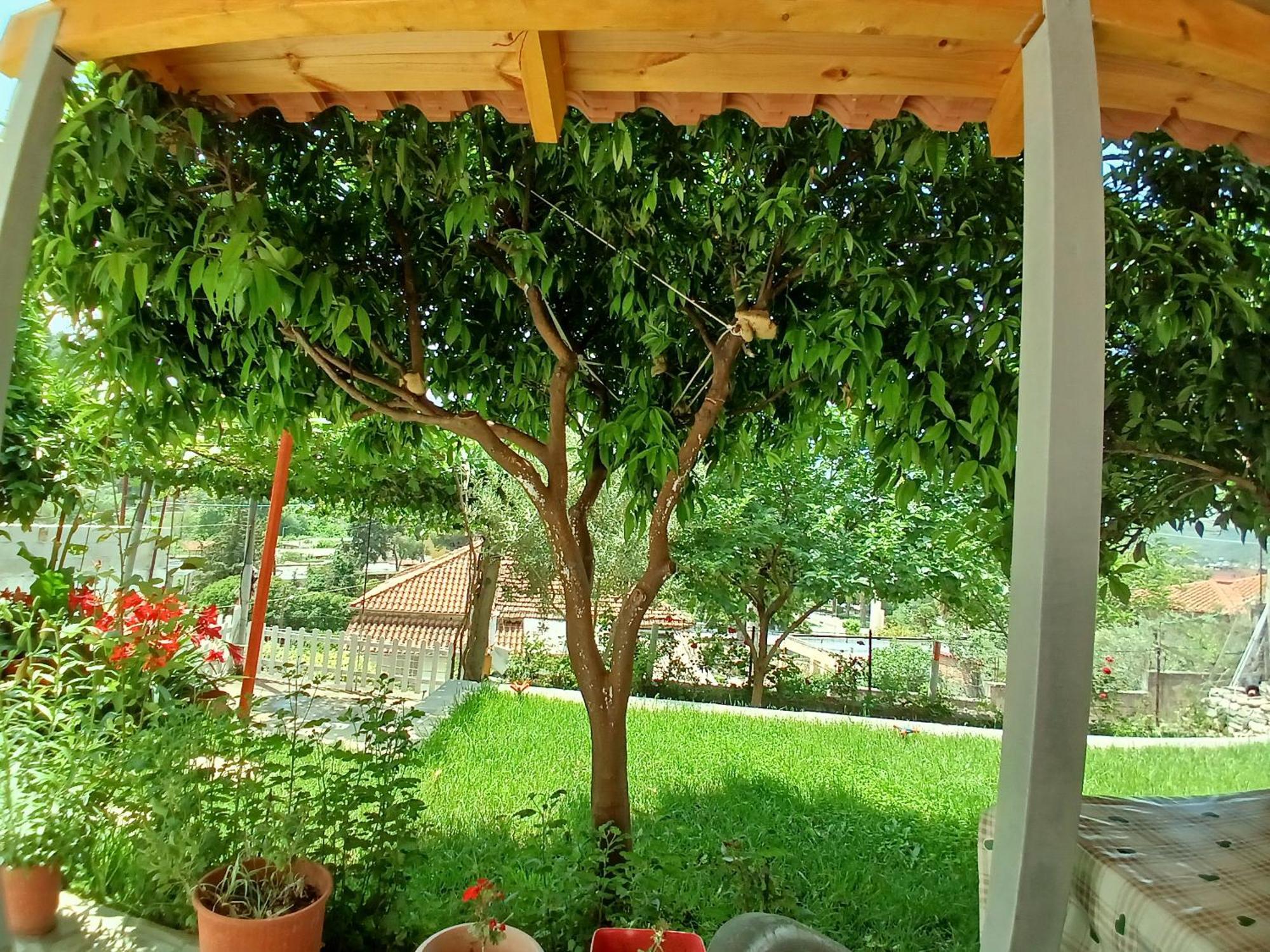 Guest House Noah&Kristel Berat Exterior photo